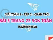 Bài 5 trang 22 Toán 8 Tập 2 Chân trời sáng tạo